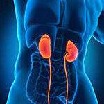 Kidney failure - Diawin Siddha Treatment